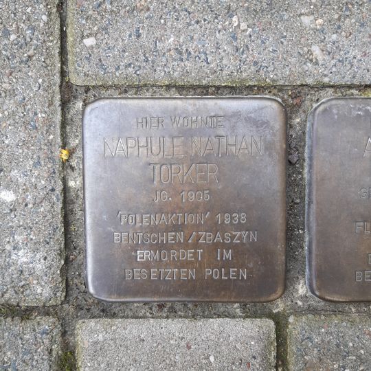 Stolperstein für Naphtule Nathan Torker