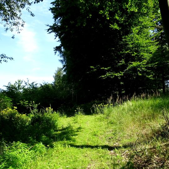 Turmberggebiet bei Wesseln