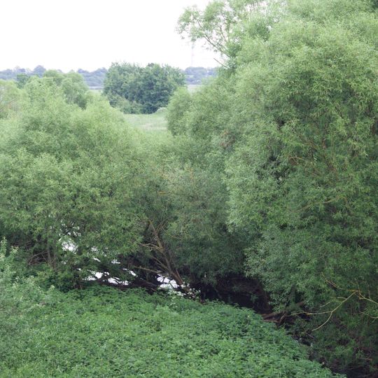 Talauen bei Herbstein