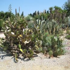 Jardin exotique de Ponteilla