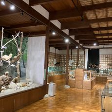 大井沢自然博物館