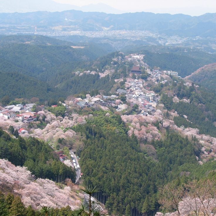 Yoshinofjellet