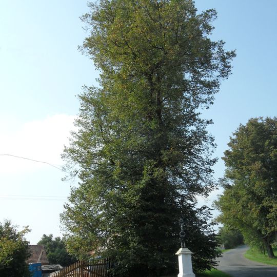 Chabeřická lípa u křížku