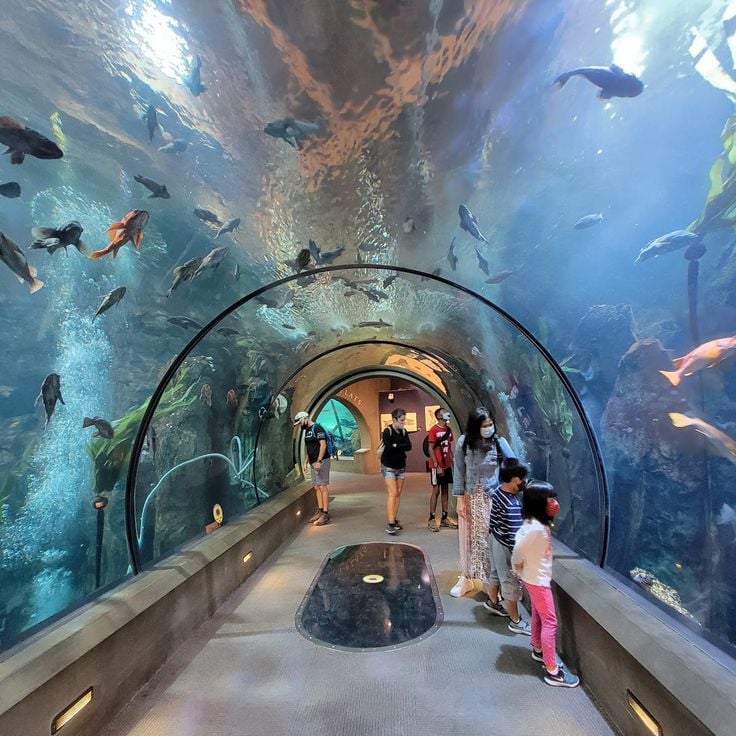 Oregon Coast Aquarium