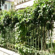 Nájomný dom so záhradou, záhrada