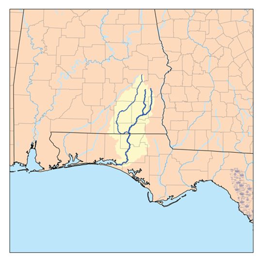 Choctawhatchee River