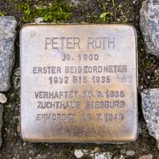 Peter Roth