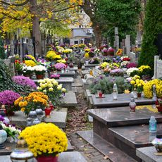 Czerniaków Cemetery