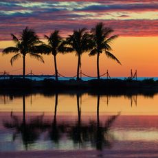 Matheson Hammock Park