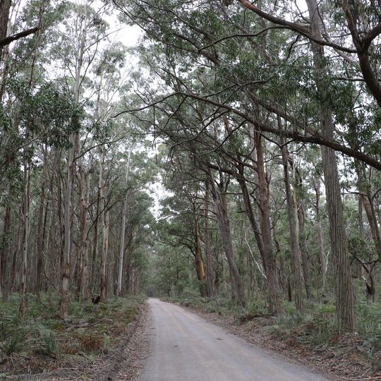 Mares Forest National Park