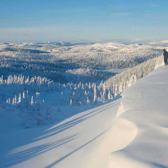 Trillemarka-Rollagsfjell