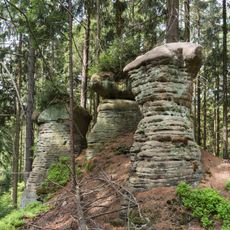 Stone mushrooms