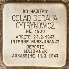 Celad Gedalia Cytrynowicz