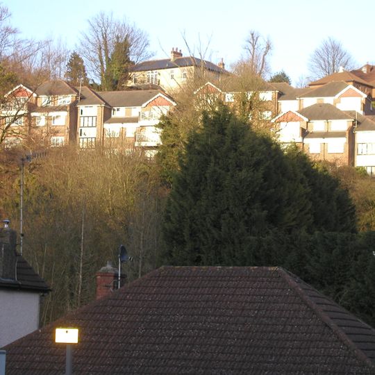 Whyteleafe