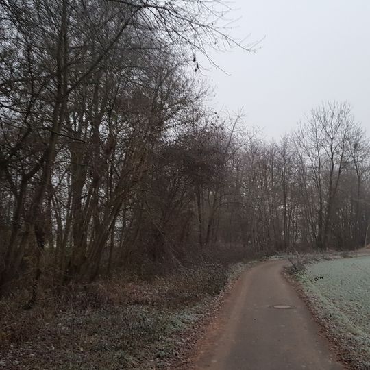 Naturdenkmal Auewald Schollenwirt Impfinger Grund/Unteres Brücklein