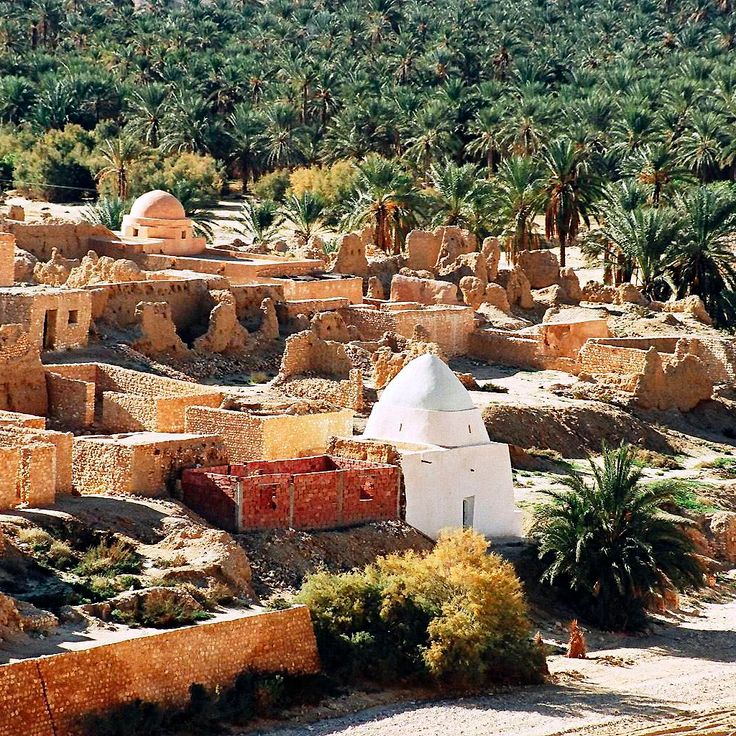 Tamaghza