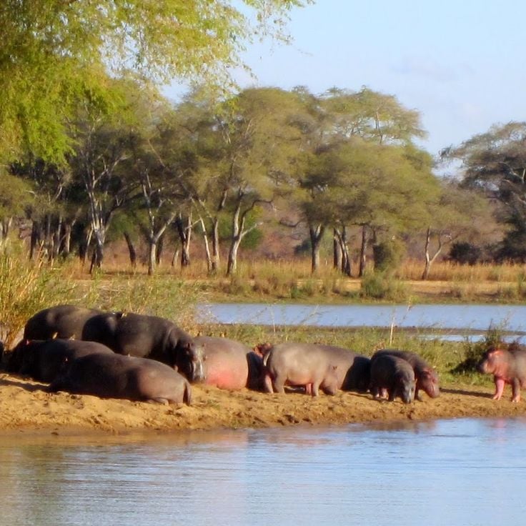 Vwaza Marsh Reserve