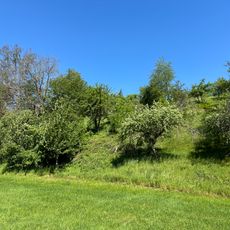 Teich und Streuobstwiese im Köttwitzschtal