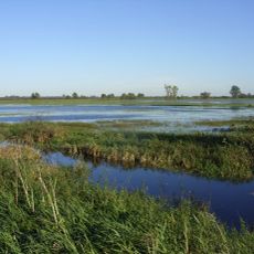 Borgfelder Wümmewiesen