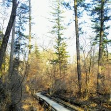 National Arboretum