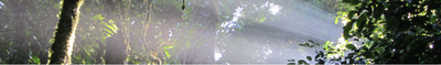 Panoramavy 1