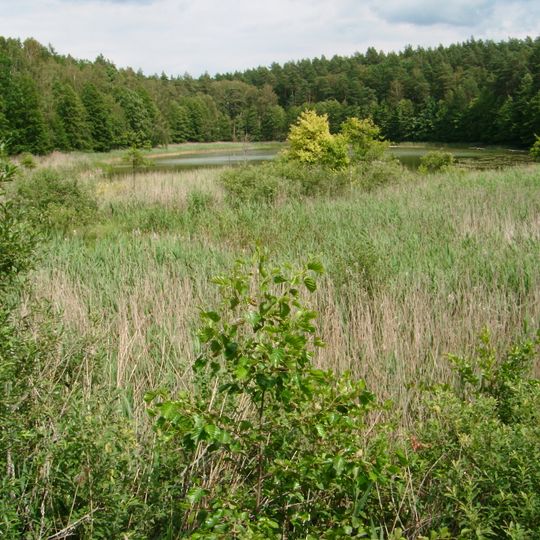 Rezerwat przyrody Jezioro Orłowo Małe