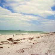 La Floride d'un bout à l'autre : parcs à sensations, plages et refuges de faune sauvage