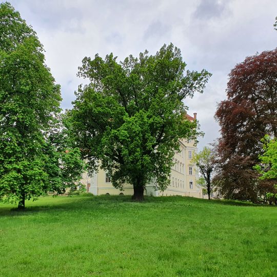 Naturdenkmal Stieleiche Schlosspark, ca. 35 m östlich vom Schloss in Lübbenau/Spreewald
