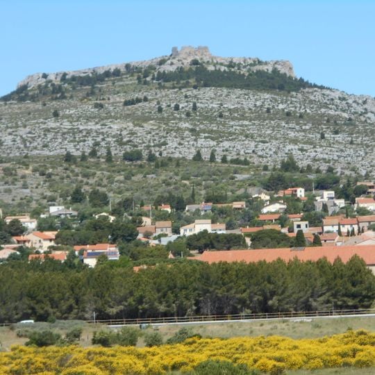 Château de La Salveterra