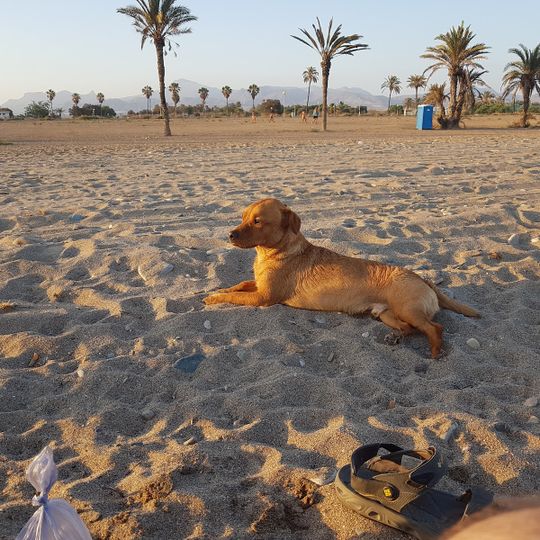 Playa de Las Moreras