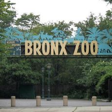 Zoológico del Bronx
