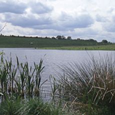 Sence Valley Forest Park