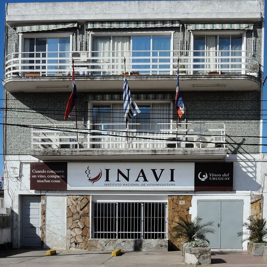 Instituto Nacional de Vitivinicultura