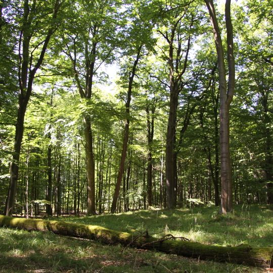 Čertova hora u Vráže