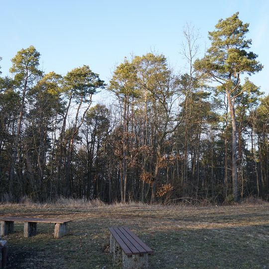 Laubholzgruppe Stahlberg