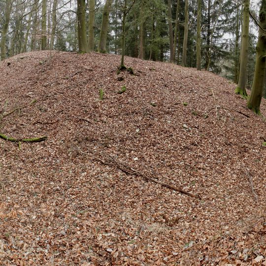 Burgstall Hohenkuchen