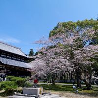 Prefectura de Wakayama