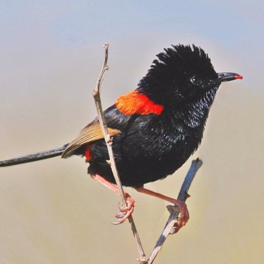 Freshwater National Park