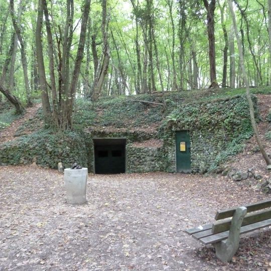 Flint quarries Savelsbos in the area of Sint Geertruid