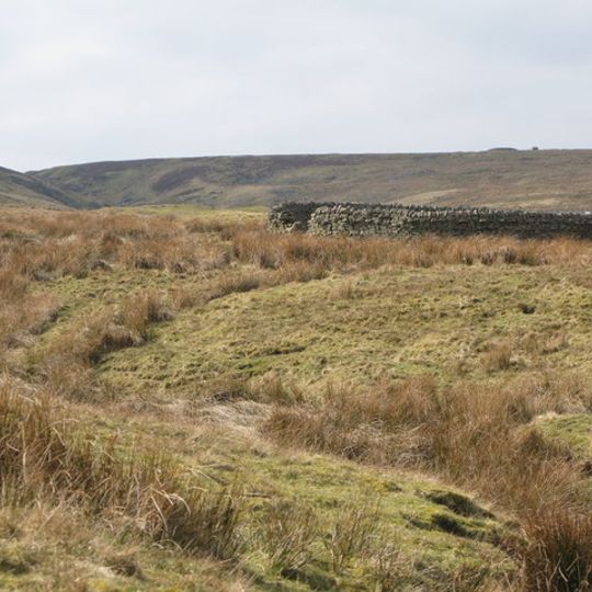 Wolfcleugh Sheepfold Circa 200 Metres South West Of Wolfcleugh Cottages