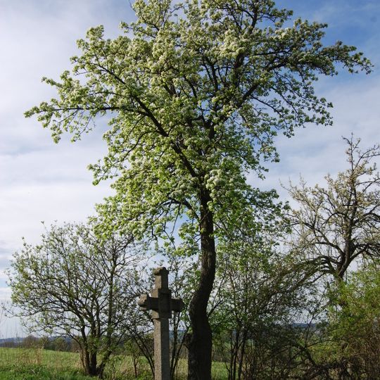 Stations of the Cross in Jistebnice