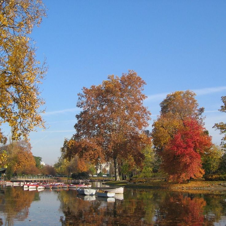 Bois de Vincennes