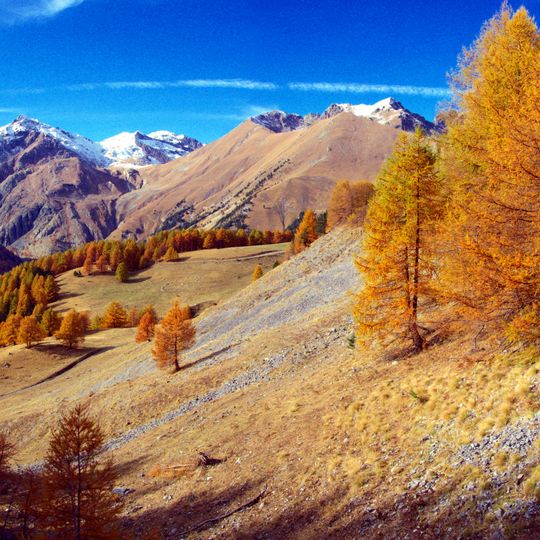 Roya valley