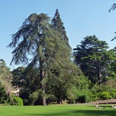 Sydney Gardens