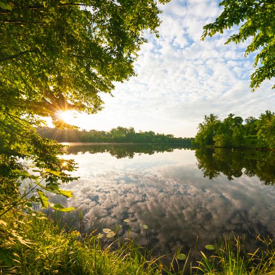 Базальтівська діброва