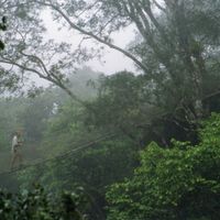 Département de Loreto