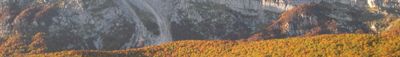 Panoramic View 1