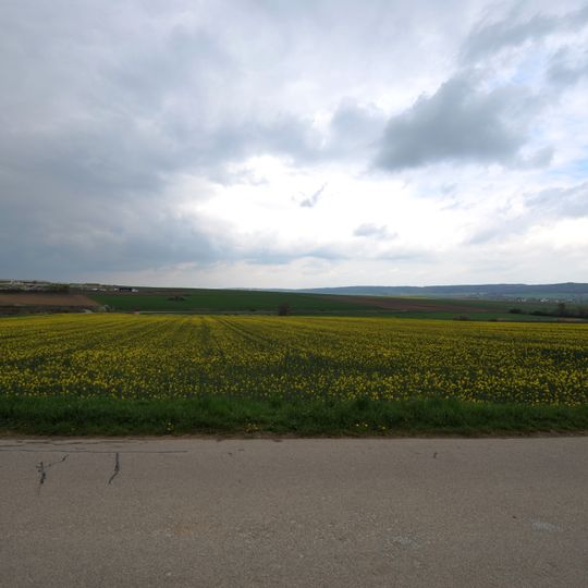 Fundzone Zwischen den Wegen/Teichfeld