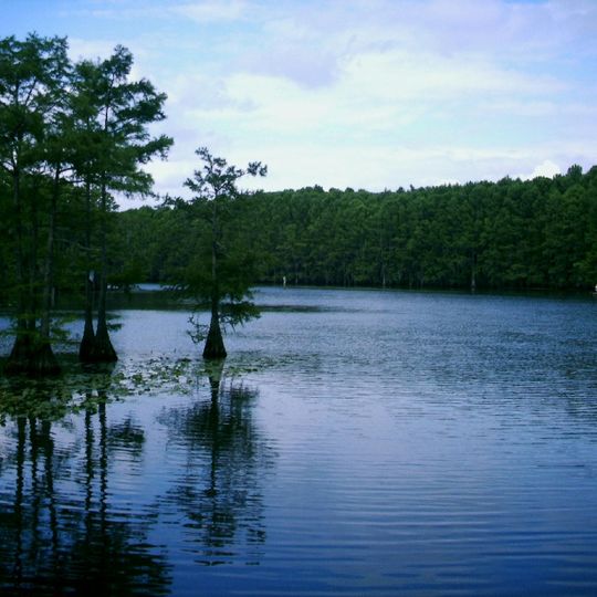 Caddo Lake