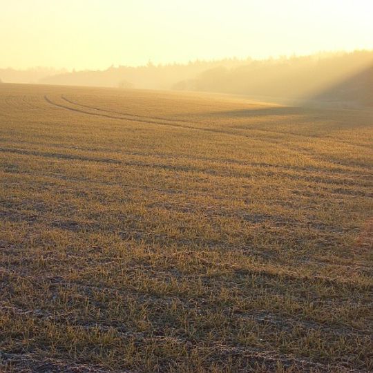 Grim's Ditch; section 650yds long NW of Betterton Down